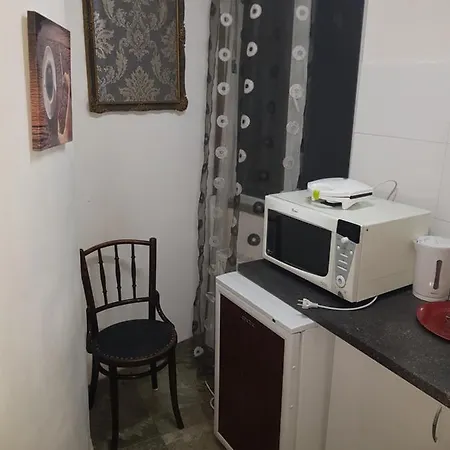 Studio Calea Victoriei Apartment *